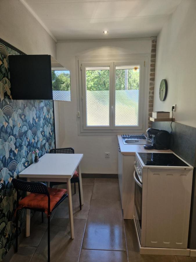 Sérézin-du-Rhône Appartement Independant Dans Maison Avec Jardinet, Au Calme מראה חיצוני תמונה